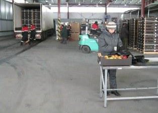 Фитосанитарный контроль в СВХ и пунктах пропуска Брянской и Смоленской областей