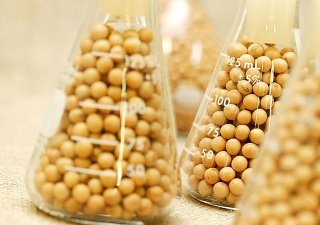 World Soy – Feeds: эксперты обсудят потенциал сои и продуктов ее переработки