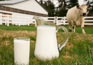 Российским фермерам разрешат добавлять антибиотики в органические продукты