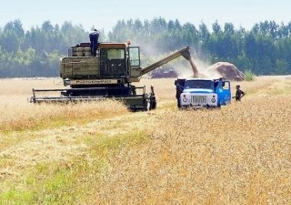 Урожай в Свердловской области превзошел показатели прошлого года