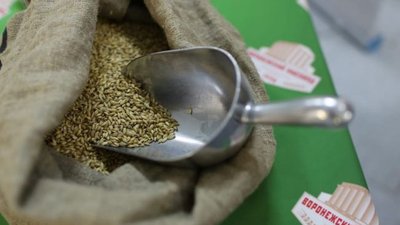 Пивовары «Воронежского пивзавода» сварили юбилейное «Жигулевское»