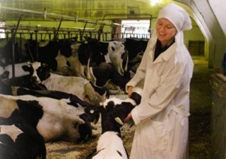 Брянская область. Восемь фермеров получили гранты