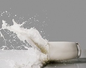 Ветслужбы Таможенного союза могут до конца 2013 года проверить литовские молочные предприятия