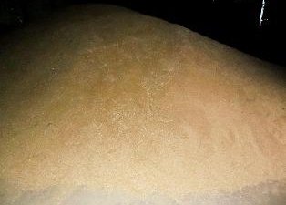 Об итогах семенного контроля на территории Брянской и Смоленской областей