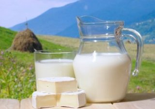 Зауральским производителям молока изменят порядок предоставления субсидий