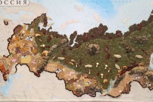Участники рынка органического сельхозпроизводства выступают за ускорение процесса создания комплексной нормативно-правовой базы отрасли.