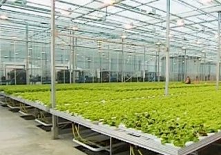 Калининградская область и продовольственная безопасность