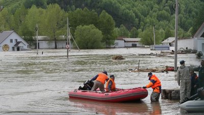 Национальный союз агростраховщиков обратился к органам АПК сибирских регионов, пострадавших от наводнения