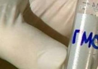 ГМО-продукты в ближайшие годы испытают на россиянах