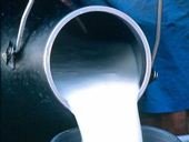 В молоке из Калининского района Тверской области нашли тетрациклин