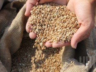 Подработка мелкосеменных культур при помощи зерносушилок