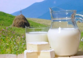 Ирландские переработчики платят самую низкую в Европе цену за молоко