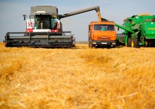 АПК Свердловской области дополнительно получит 257 млн рублей
