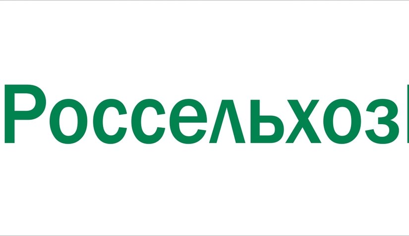 Ростовский филиал Россельхозбанка направил на финансирование предприятий малого бизнеса более 12 млрд рублей