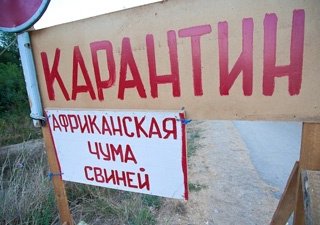 Проблема с АЧС в Польше не ликвидирована
