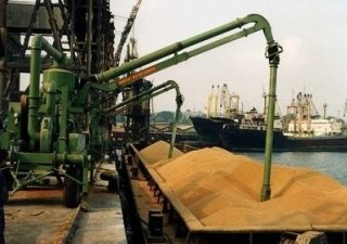 Экспорт российской пшеницы снизился вдвое под давлением пошлины