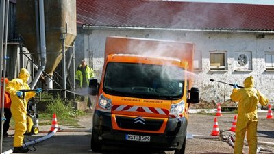 Птичий грипп и АЧС стали глобальными проблемами