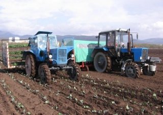 Старт дан! На Ставрополье приступили к севу