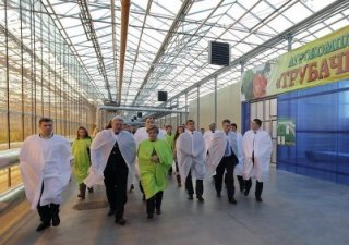 В Томской области открылась вторая очередь крупного тепличного комплекса
