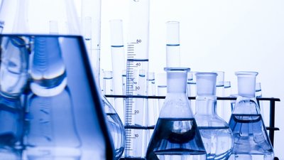 Итоги исследований подкарантинной продукции Омского референтного центра за 2013 год