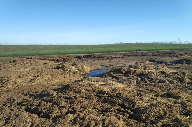 Экологи выявили санитарно неблагополучные фермы в Курской области