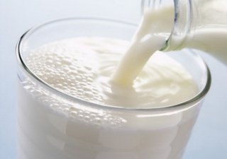 Молочное животноводство Алтая добилось рекорда продуктивности