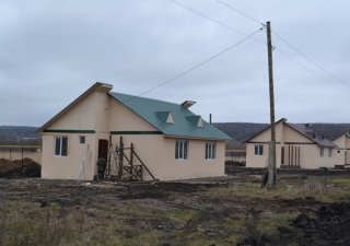 Сельхозпрограммы Ленобласти под угрозой
