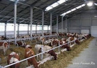 За два года в Курганской области создано 48 КФХ и 9 семейных ферм