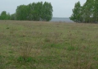 Часть земель бывшего УЧХОЗа «Костромской» возвращены в сельскохозяйственный оборот
