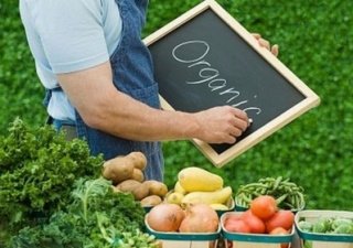 В России регламентируют маркировку органической продукции