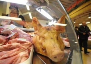 Белгородские свиньи прорвались сквозь закрытые границы