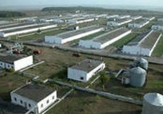 В Смоленской области возведут новый аграрный комплекс