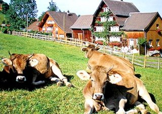 Азербайджанский бизнес готов инвестировать в АПК Ленобласти
