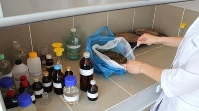 О проведении паразитологических исследований почвы