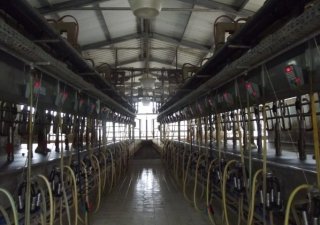 Компьютеры помогут животноводам Омской области