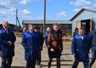 Новые переработчики молока появились в Омутинском районе