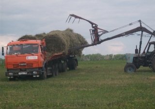 Дождливая погода мешает удмуртским аграриям заготавливать корма