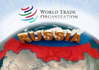 Вступление России в ВТО: год прошел, а бизнес разочарован