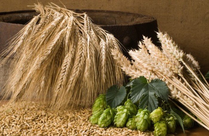 На «Золотой осени» бал объявлен лучший агропроизводитель пивоваренного ячменя