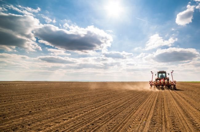 Россельхозбанк и «Агроэкспорт» будут совместно повышать  экспортный потенциал российского АПК