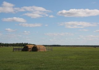 Десять крестьянских хозяйств Якутии получили гранты на 58 млн руб.