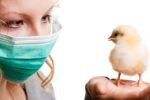 О завершении экспериментов по изучению эффективности вакцин против гриппа птиц, предусмотренных календарным планом НИР  на 2015 г.