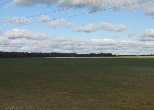 Еще 150 га вовлечено в сельскохозяйственный оборот Смоленской области