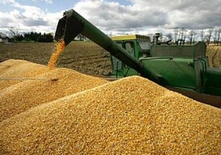 Россия засыплет мир зерном