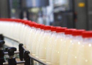 Молочным заводам Свердловской области посоветовали расширять ассортимент