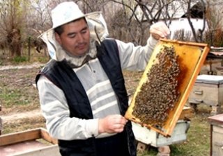 Башкирские пчеловоды поделятся опытом с монгольскими коллегами