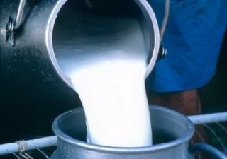 В Тюмени стартует уникальная социальная программа "3 молочных продукта в день"