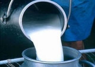 Государство продолжит субсидировать молочников в 2014 году