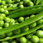 Краснодарский край произвел рекордное количество консервов из зеленого горошка