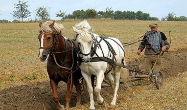 Взял в собственность, будь добр обрабатывай…